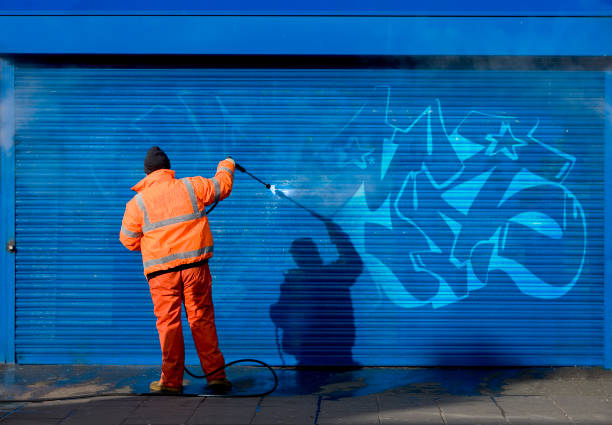 Best Local Pressure Washing Services  in Bruceton, TN