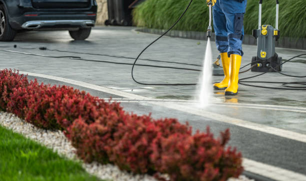 Best Pressure Washing Driveway  in Bruceton, TN
