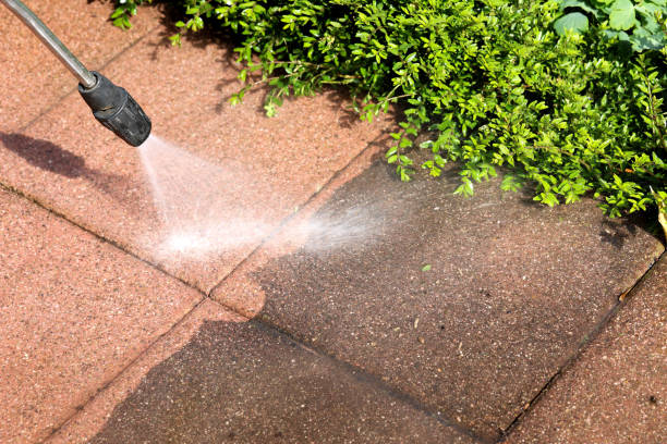 Best Roof Pressure Washing  in Bruceton, TN